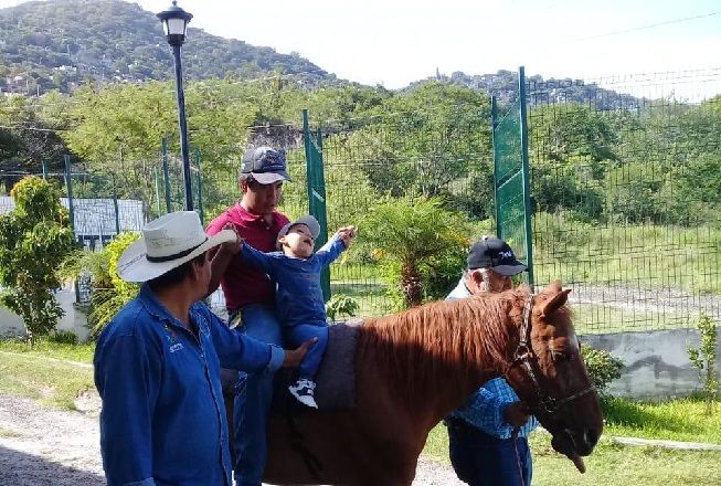 Lizeth Torres Manjarrez, directora general del DIF Jiutepec, informó que a través de la equinoterapia se estimula la afectividad, mejora la concentración y la atención, asimismo estimula la sensibilidad táctil, visual, auditiva y olfativa entre las personas con discapacidad