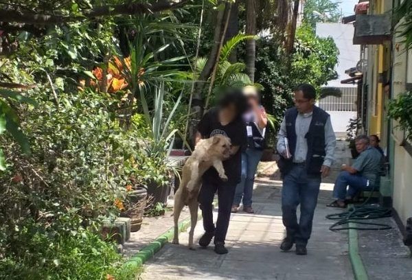 la Procuraduría ha presentado denuncias penales ante la Fiscalía General del Estado (FGE) por casos de maltrato animal como lo fue el envenenamiento de varios perros en Ocotepec y al ataque con un machete a uno más, ya que el maltrato animal está tipificado como delito en el Código Penal del Estado de Morelos