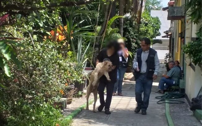 la Procuraduría ha presentado denuncias penales ante la Fiscalía General del Estado (FGE) por casos de maltrato animal como lo fue el envenenamiento de varios perros en Ocotepec y al ataque con un machete a uno más, ya que el maltrato animal está tipificado como delito en el Código Penal del Estado de Morelos