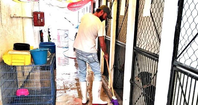 El alcalde Antonio Villalobos Adán ha instruido a todo el personal responsable del trato y manejo de los animales que rescata el ayuntamiento capitalino, para humanizar, cuidar y resguardar su integridad en condiciones de amor y respeto, pues este municipio se ha distinguido por preocuparse y ocuparse de este sensible tema que a los habitantes de la ciudad tanto preocupa, apuntó