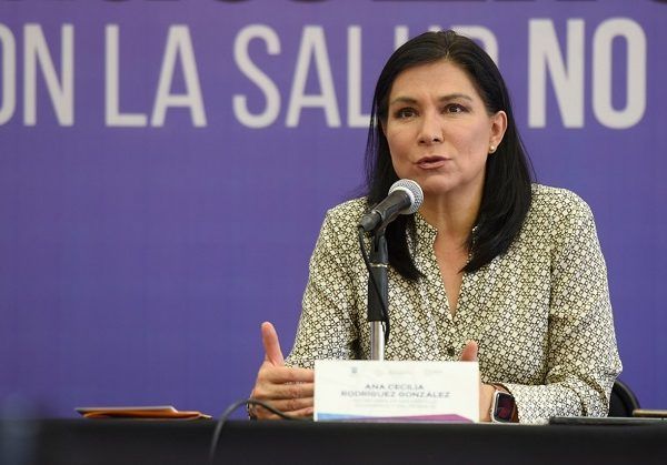 Indicó que el Programa Emergente de Financiamiento por Emergencia Sanitaria (PECOVID-19) se enfoca a las micro y pequeñas empresas con actividad económica en la entidad dentro de los sectores de comercio, servicio e industria, y las cuales pudieran tener alguna afectación o impedimento temporal a causa de la contingencia