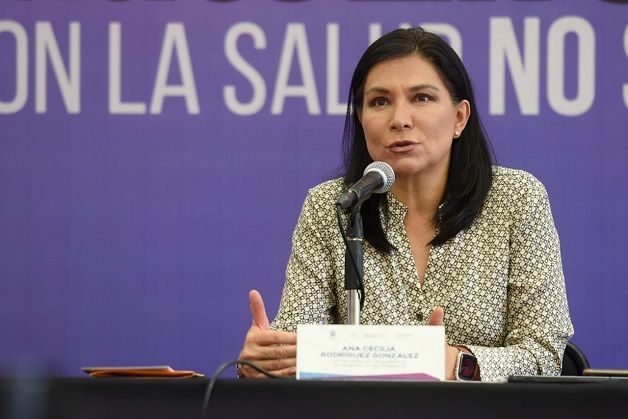 Indicó que el Programa Emergente de Financiamiento por Emergencia Sanitaria (PECOVID-19) se enfoca a las micro y pequeñas empresas con actividad económica en la entidad dentro de los sectores de comercio, servicio e industria, y las cuales pudieran tener alguna afectación o impedimento temporal a causa de la contingencia