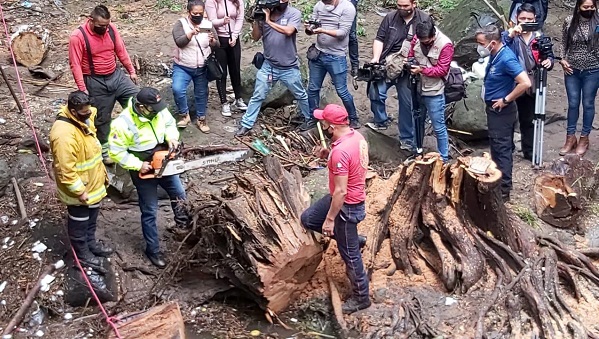 Cero tolerancia al tráfico de influencias: Villalobos