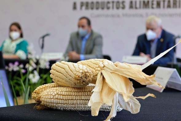 El gobernador Cuauhtémoc Blanco Bravo atestiguó la puesta en marcha del Programa “Precios de garantía a productos alimentarios básicos: acopio de maíz”
